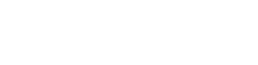 TN Department of Children's Services