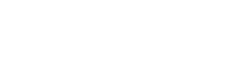 TN Department of Children's Services